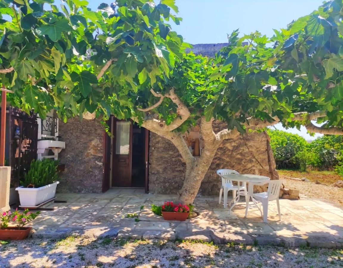 Palacca, Trullo Salentino Andrano Exterior photo