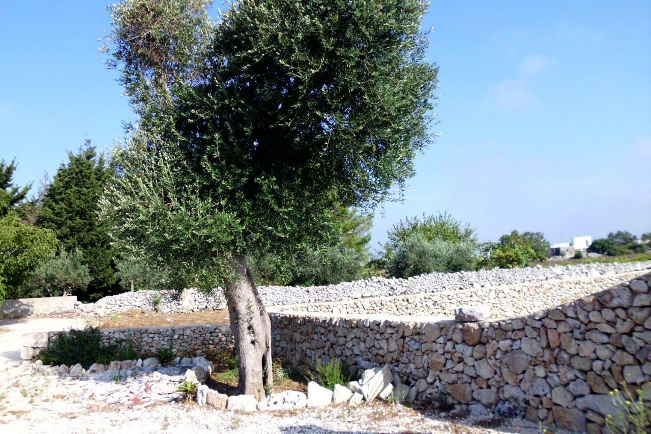 Palacca, Trullo Salentino Andrano Exterior photo
